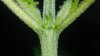 20170125_125915.jpg