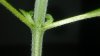 20170125_125513.jpg