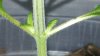 20170125_125803.jpg