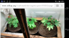 Screenshot_2017-01-25-20-55-23.png