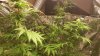20170127_054649.jpg 20170127_054649.jpg