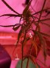 20170126_185829.jpg