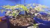 20170128_133422.jpg