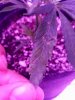 20170128_111942.jpg