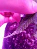 20170128_111925.jpg