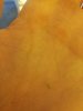 IMG_20170129_080557.jpg