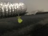 IMG_20170129_130633.jpg