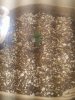 20170129_205626.jpg