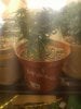 20170129_205727_HDR.jpg