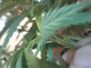 20170130_100058.jpg 20170130_100058.jpg