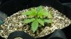 20170121_064549.jpg
