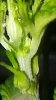20170131_012112.jpg