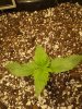 20170131_071625.jpg