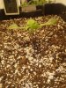 20170131_071628.jpg