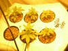 grow pixels 013.JPG