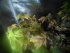 IMG_20170202_140912.jpg