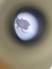 20170202_204017.jpg