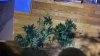 20170202_224142.jpg