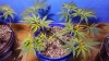 20170203_003504.jpg