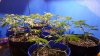 20170203_003555.jpg