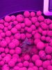 IMG-20170112-WA0003.jpg