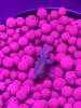 IMG-20170114-WA0000.jpg