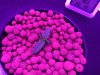 IMG-20170115-WA0002.jpg