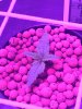 IMG-20170118-WA0002.jpg