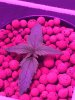 IMG-20170119-WA0007.jpg