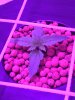 IMG-20170121-WA0001.jpg