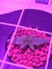 IMG-20170122-WA0002.jpg