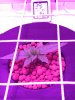 IMG-20170124-WA0002.jpg