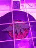 IMG-20170126-WA0001.jpg