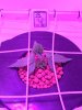 IMG-20170128-WA0000.jpg