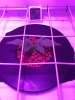 IMG-20170129-WA0000.jpg