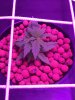 IMG-20170131-WA0002.jpg