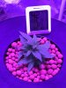 IMG-20170201-WA0004.jpg