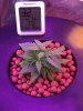 IMG-20170202-WA0004.jpg