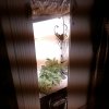 IMG_20170131_164758.jpg