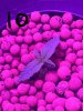 20170203_153649.jpg