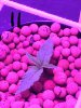 20170203_153626.jpg