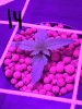 20170203_153501.jpg
