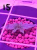 20170203_153430.jpg