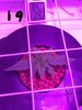 20170203_153237.jpg