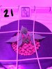 20170203_153153.jpg