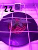 20170203_153119.jpg