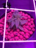 20170203_153022.jpg