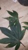 20170203_123140.jpg