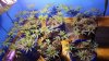 20170204_053220.jpg