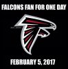 falconFan.jpg